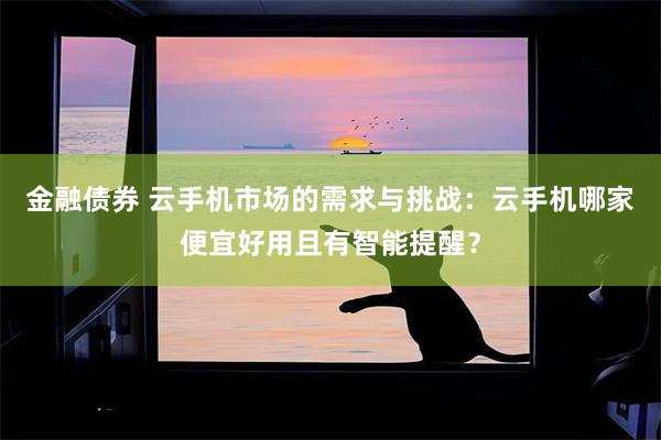 金融债券 云手机市场的需求与挑战：云手机哪家便宜好用且有智能提醒？