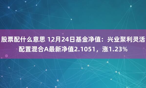 股票配什么意思 12月24日基金净值：兴业聚利灵活配置混合A最新净值2.1051，涨1.23%