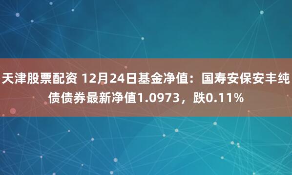 天津股票配资 12月24日基金净值：国寿安保安丰纯债债券最新净值1.0973，跌0.11%