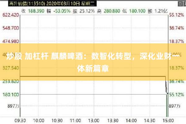 炒股 加杠杆 麒麟啤酒：数智化转型，深化业财一体新篇章