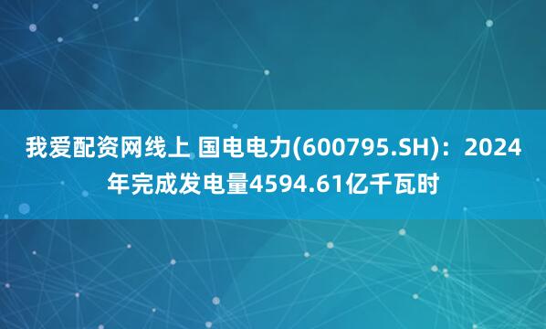 我爱配资网线上 国电电力(600795.SH)：2024年完成发电量4594.61亿千瓦时