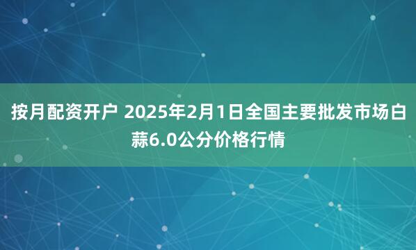 按月配资开户 2025年2月1日全国主要批发市场白蒜6.0公分价格行情