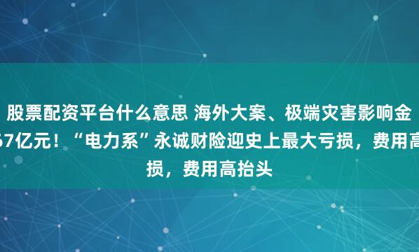 股票配资平台什么意思 海外大案、极端灾害影响金额7.67亿元!“电力系”永诚财险迎史上最大亏损,费用高抬头